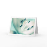 Lily flower photography, Special Occasion Cards