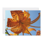 LILY FLOWERS Invitations Cards Lilies Parties