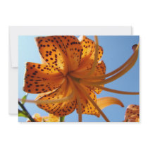 LILY FLOWERS Invitations Cards Lilies Parties