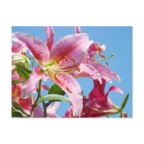 Lily Flowers postcards Nature custom Post Cards