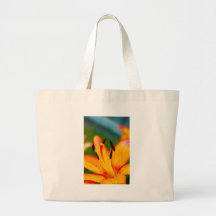 Lily II Canvas Bags