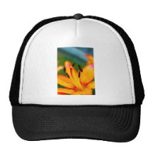Lily II Mesh Hats