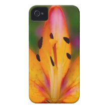 Lily iPhone 4 Case-Mate Case