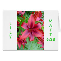 Lily - Iridescent Red (Luke 12:15) cards