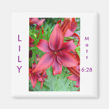Lily - Iridescent Red (Luke 12:15) Fridge Magnet