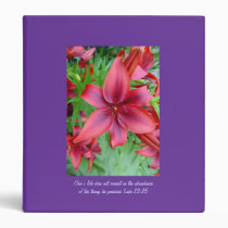 Lily - Iridescent Red (Luke 12:15) binders