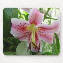 lily mouse pad