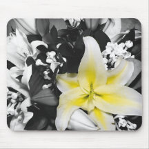 lily mouse pads