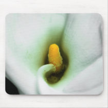 Lily Mouse Pads