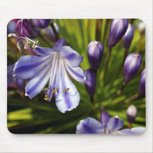 Lily Of The Nile Mousepad