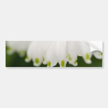 Lily of the Valley Bumper Stickers