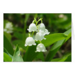 Lily of the Valley Greeting Cards