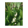 Lily of the Valley Post Cards