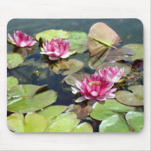 Lily Pad Life's Tranquillity Mousepad