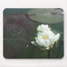 lily pad mouse pad