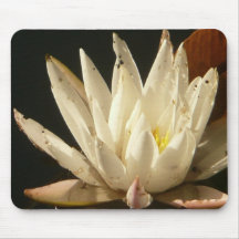 Lily Pad Mouse Pads