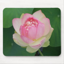 Lily Pad Mousepad