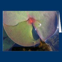 Lily Pad PhotoCard cards