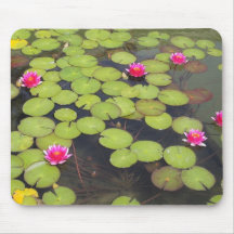lily pad with pink flowers mouse pad