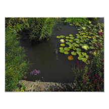 Lily Pads Photo Art