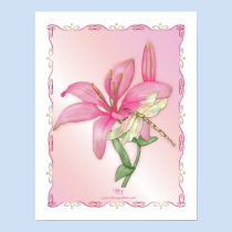 Lily Pink posters
