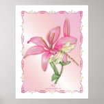 Lily Pink Posters