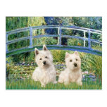 Lily Pond Bridge - Westies (two) Post Card