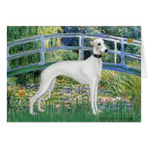 Lily Pond Bridge - White Whiipet (11b)A Greeting Card
