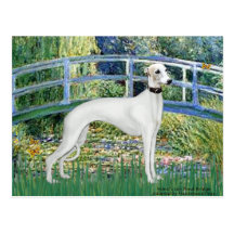 Lily Pond Bridge - White Whiipet (11b)A Postcard