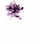 Lily (purple) t-shirts