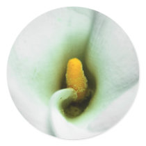 Lily Round Sticker
