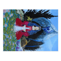 Lily (west coast shaman) postcards