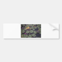 Lilypads Bumper Sticker