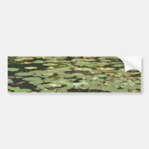 Lilypads Impressionism art Bumper Stickers