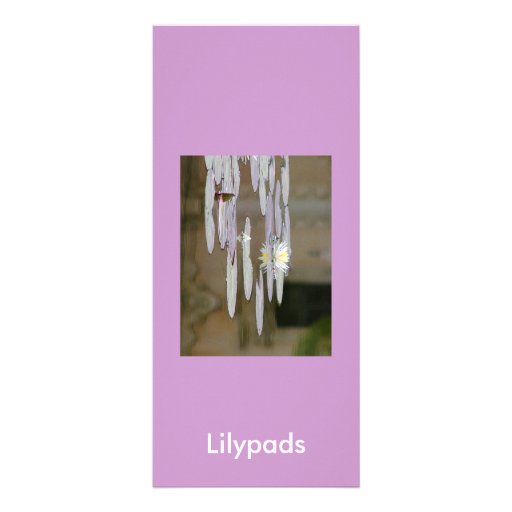 Lilypads Rack Card Design