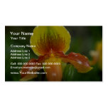 Lime Paphiopedilum flowers Business Card Template