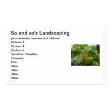 Lime Tree Business Card