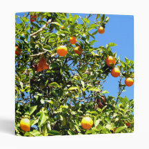 Limones Binders