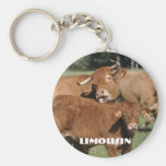 Limousin calf keyring keychain