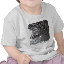 lincoln memorial winter snow t-shirt