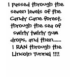 "Lincoln Tunnel Challenge "TEAM ELF - Customized t-shirts