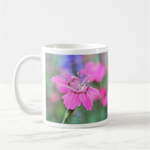 Line Drawing - Cottage Pinks Coffee Mugs
