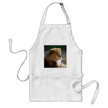 Lion-6775e11x11 africain tabliers