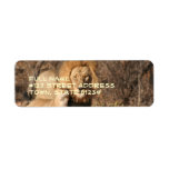 Lion and Cub Return Address Label