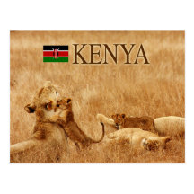 Lion and cub, Tsavo, Kenya Post Card