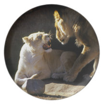 Lion and lioness growl plate