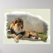 Lion At Rest Lion Lovers Art Print