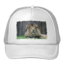 Lion  Baseball Hat