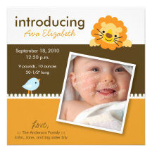Lion & Birdie Designer Birth Announcement (orange)