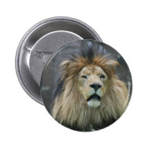 Lion  Button